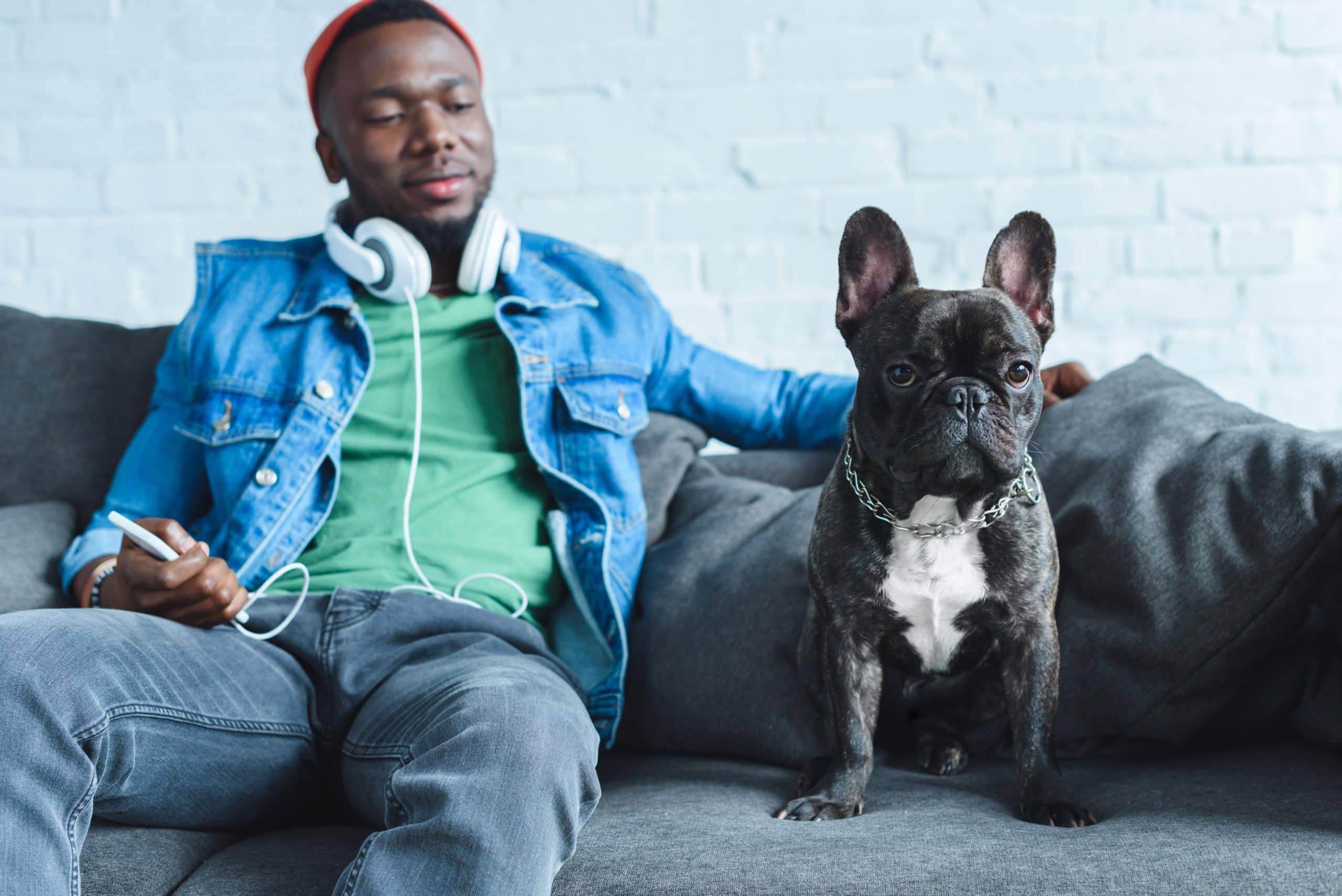 young man with headphones sitting on couch next to french bulldog
