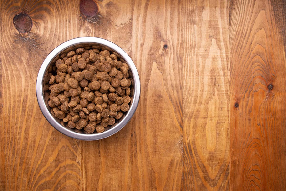 overhead view bowl of dog food on a wooden counter